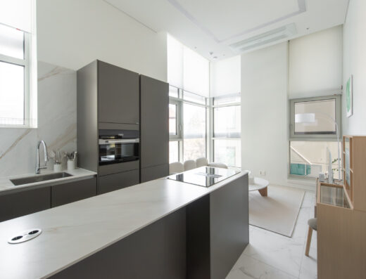 Luxury Apartment near COEX
